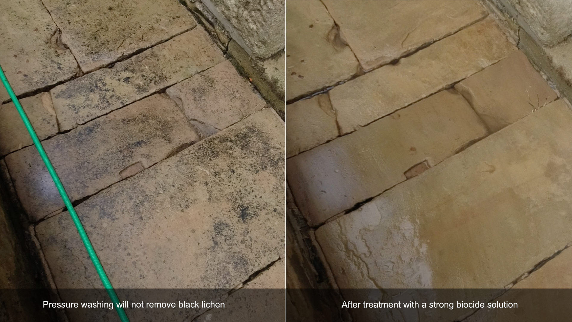 Before and after photo demonstrating black lichen removal